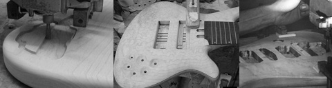 manuale di costruzione chitarra elettrica pic